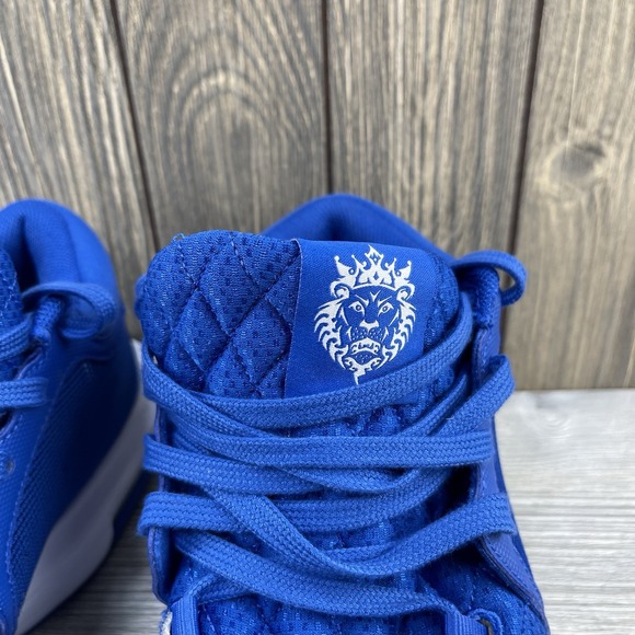 Nike LeBron Witness VIII 8 TB Game Royal Blue White FB9944-401 Size 8.5 Men's - Picture 9 of 16